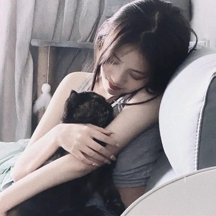 布里斯比熊